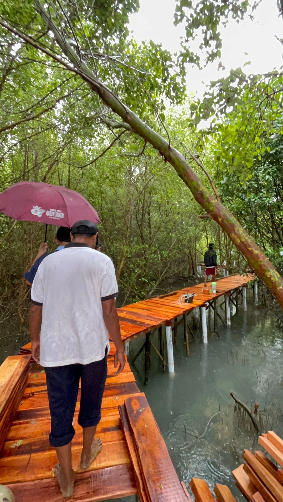 Pembangunan Mangrove Track
